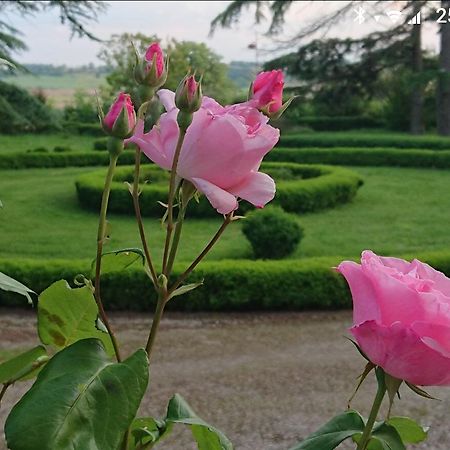Chateau De Clermont-Saves Bed & Breakfast L'Isle-Jourdain  Luaran gambar