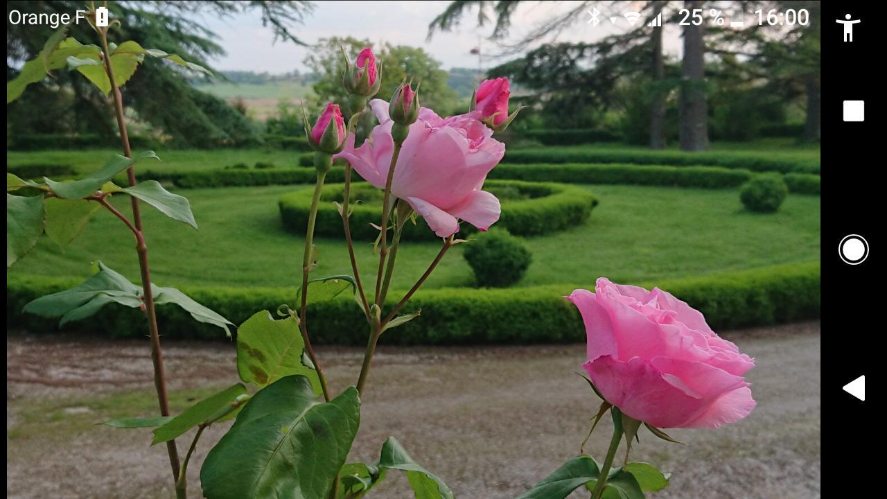 Chateau De Clermont-Saves Bed & Breakfast L'Isle-Jourdain  Luaran gambar